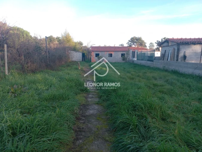 Quinta T1 para Venda em Escalos de Cima e Lousa Foto 4