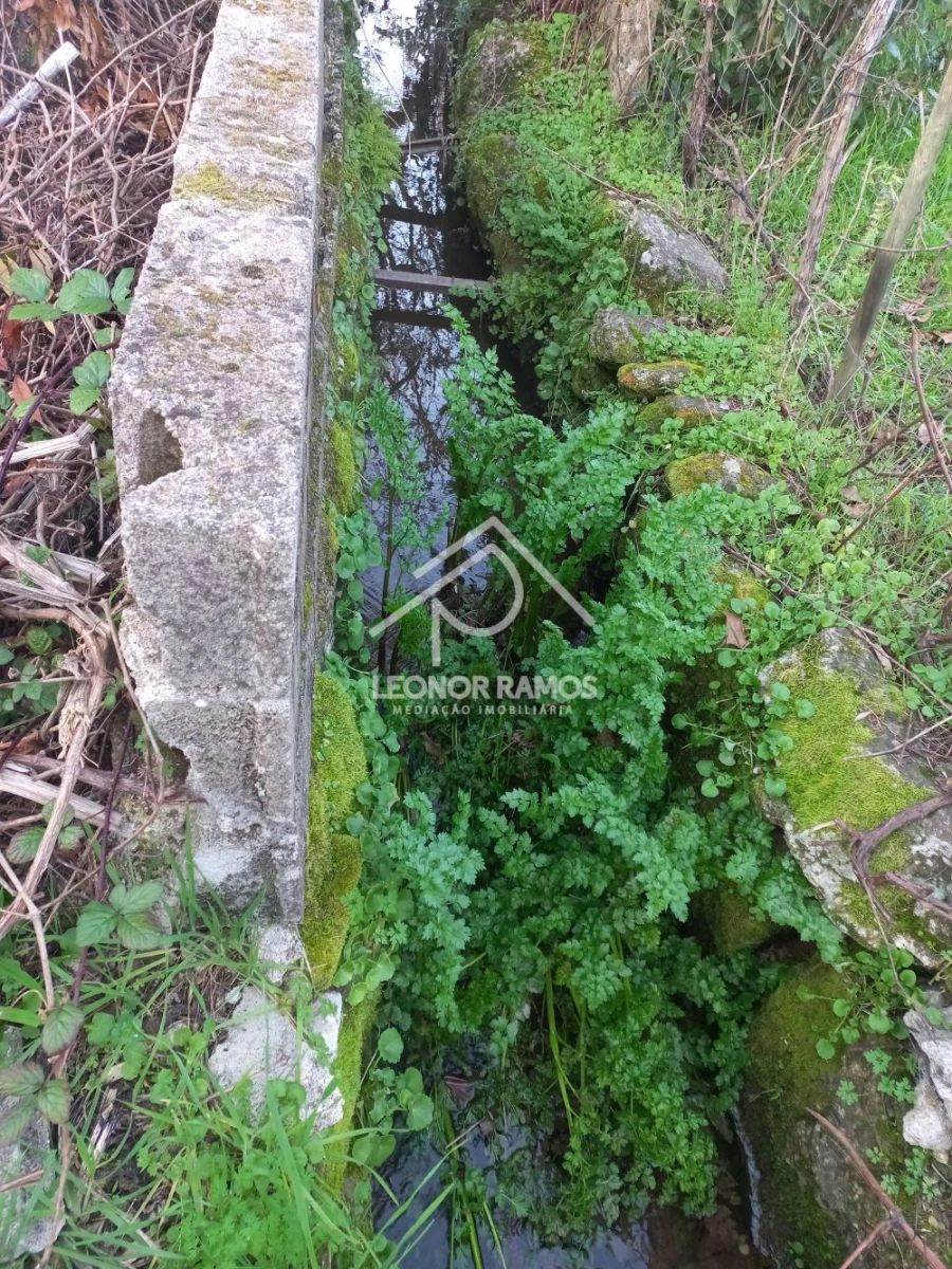 Quinta T1 para Venda em Escalos de Cima e Lousa Foto 26