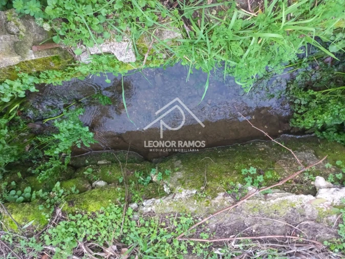 Quinta T1 para Venda em Escalos de Cima e Lousa Foto 25