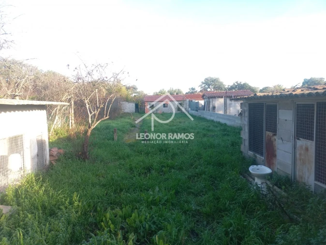 Quinta T1 para Venda em Escalos de Cima e Lousa Foto 1