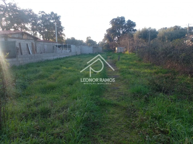 Quinta T1 para Venda em Escalos de Cima e Lousa Foto 32