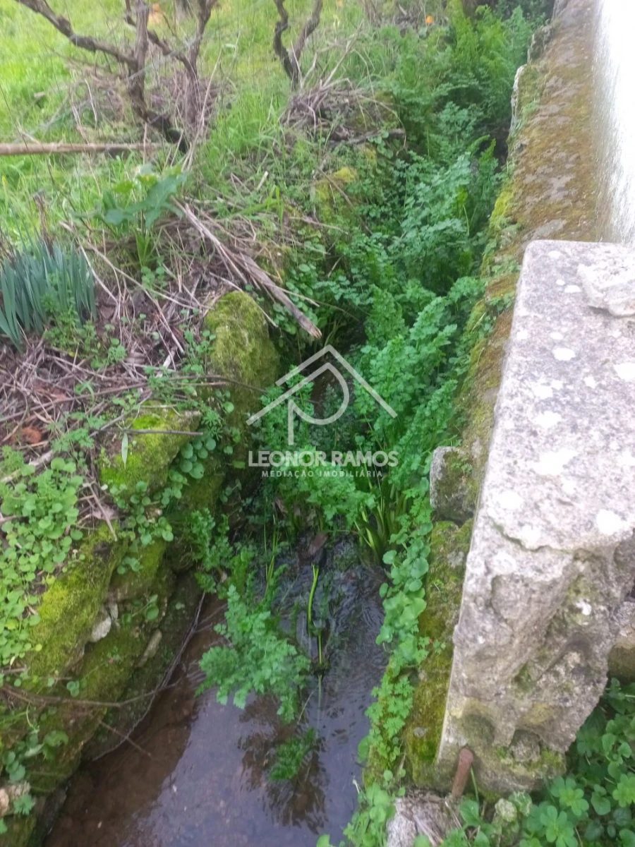 Quinta T1 para Venda em Escalos de Cima e Lousa Foto 27