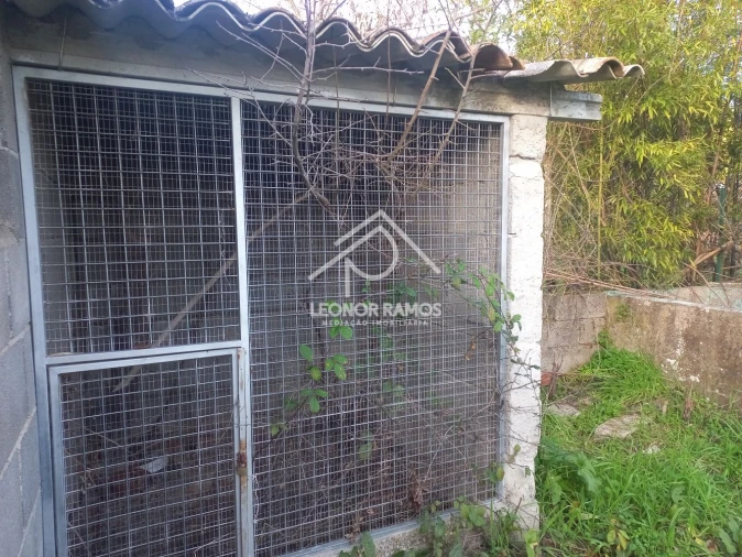 Quinta T1 para Venda em Escalos de Cima e Lousa Foto 6