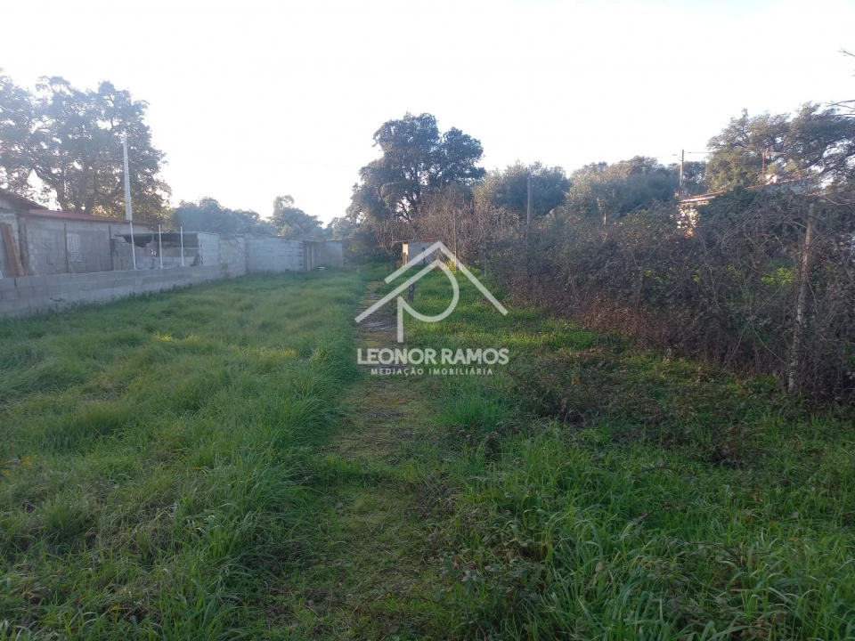 Quinta T1 para Venda em Escalos de Cima e Lousa Foto 29