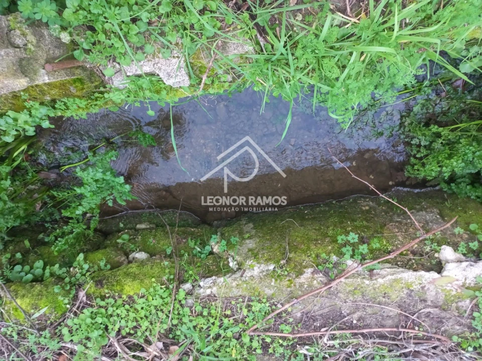 Quinta T1 para Venda em Escalos de Cima e Lousa Foto 25