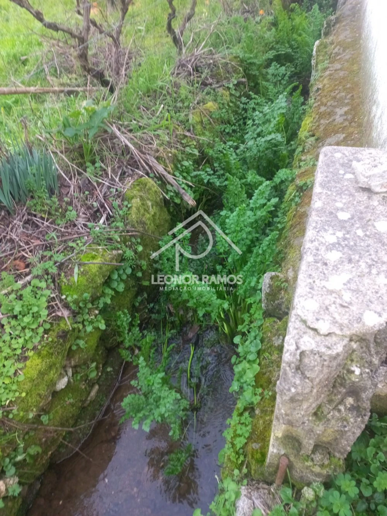 Quinta T1 para Venda em Escalos de Cima e Lousa Foto 27