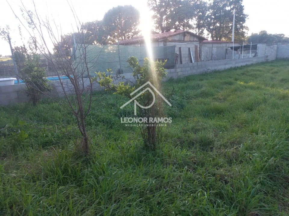 Quinta T1 para Venda em Escalos de Cima e Lousa Foto 31