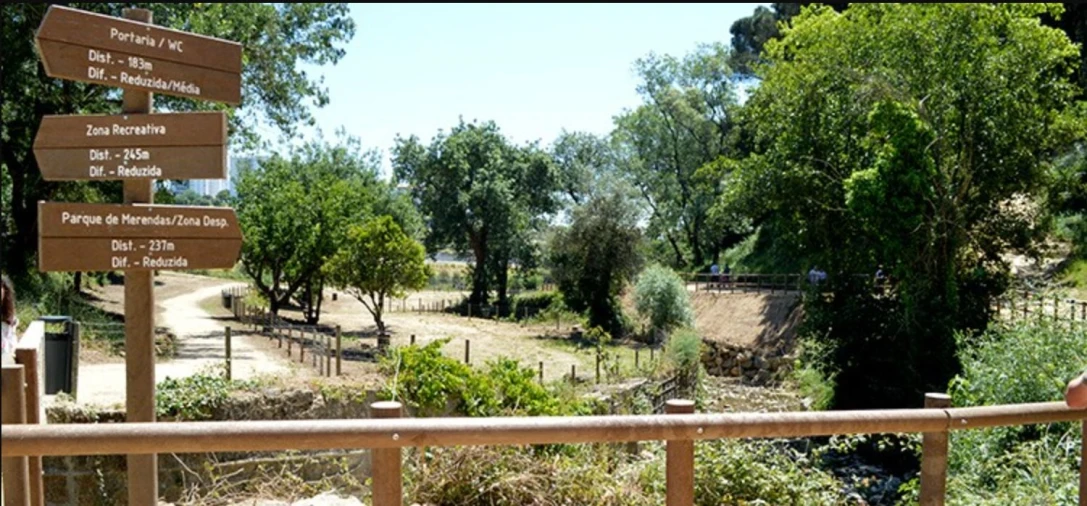 Apartamento T3 para Venda em Rio de Mouro Foto 15