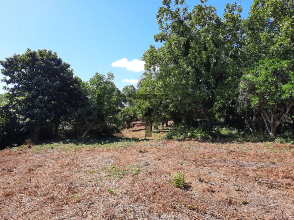 Quinta T12 para Venda em Castelões Foto 17