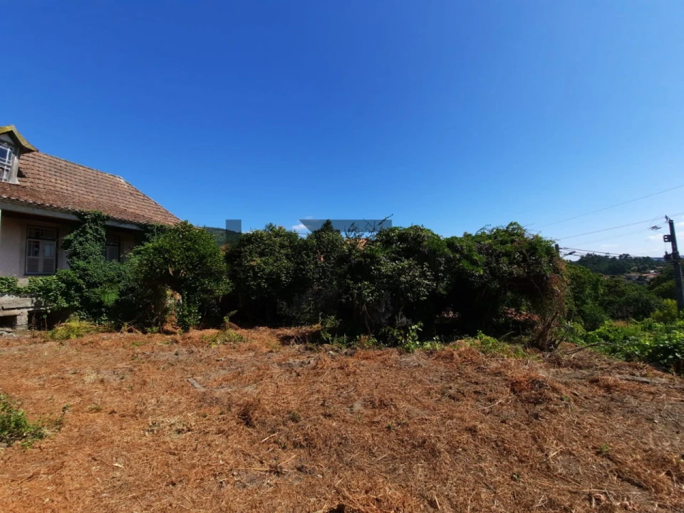 Quinta T12 para Venda em Castelões Foto 25
