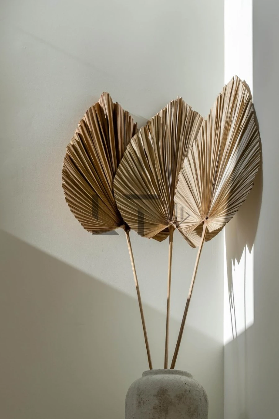 Moradia T3 para Venda em Santa Barbara de Nexe Foto 19