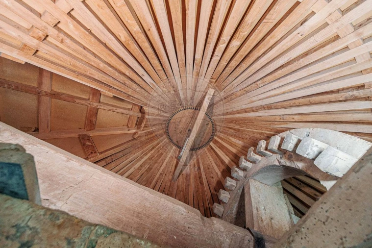 Negócio para Venda em Odivelas Foto 36