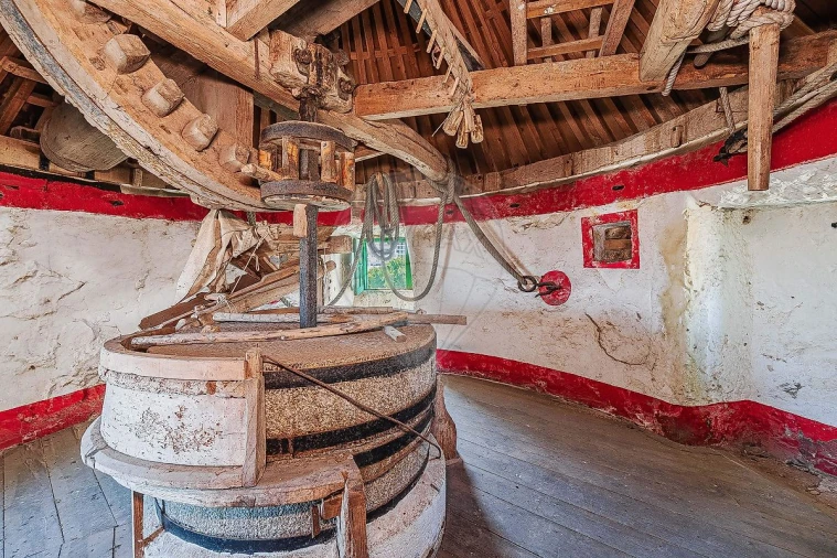 Negócio para Venda em Odivelas Foto 28