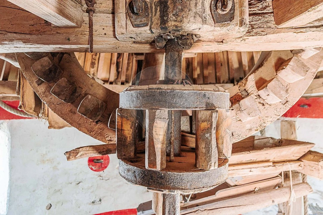 Negócio para Venda em Odivelas Foto 33