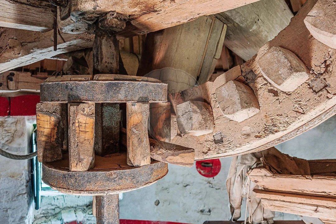 Negócio para Venda em Odivelas Foto 35