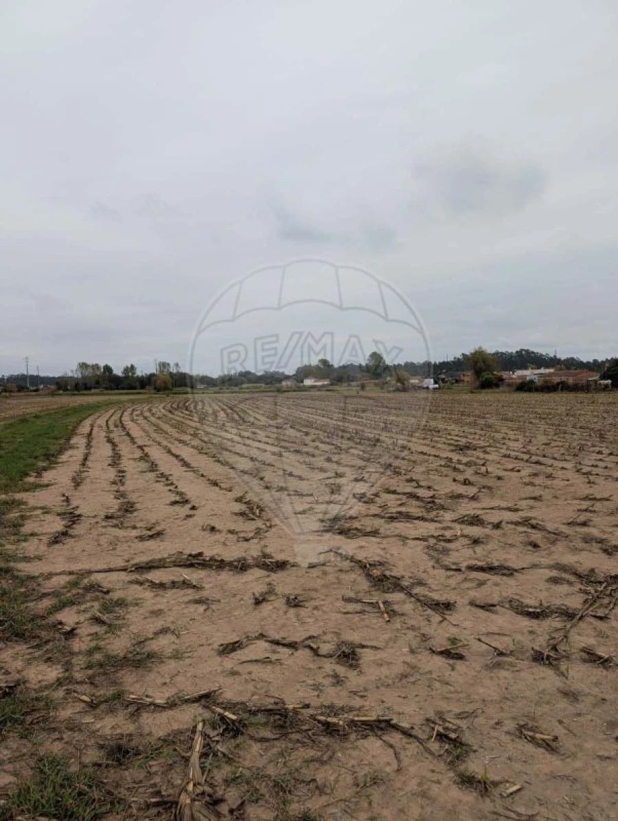 Terreno para Venda em Avanca Foto 4