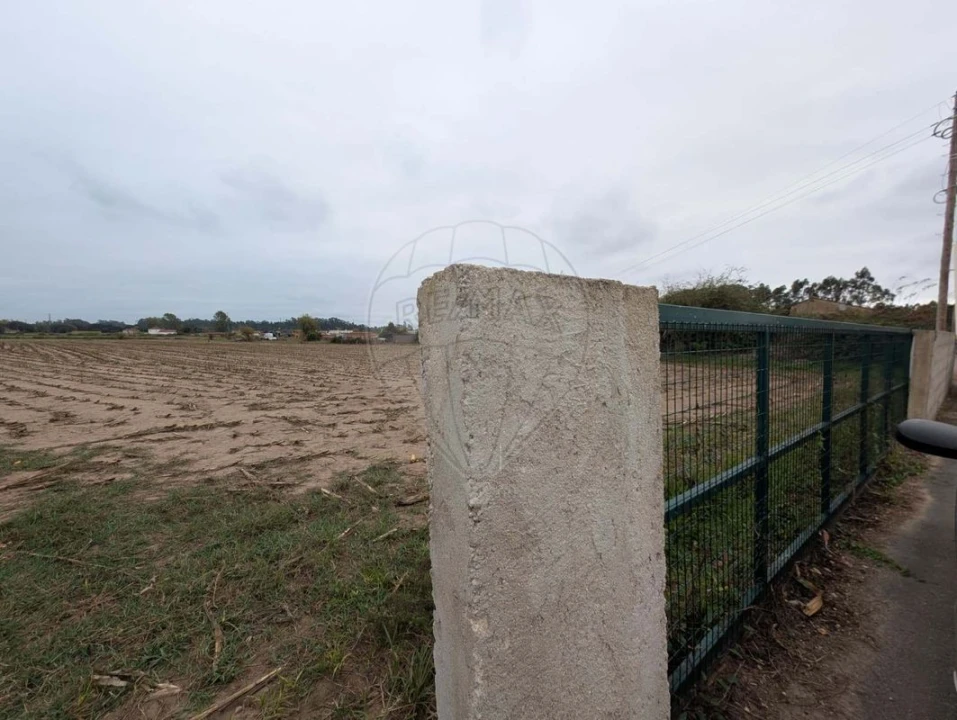 Terreno para Venda em Avanca Foto 3