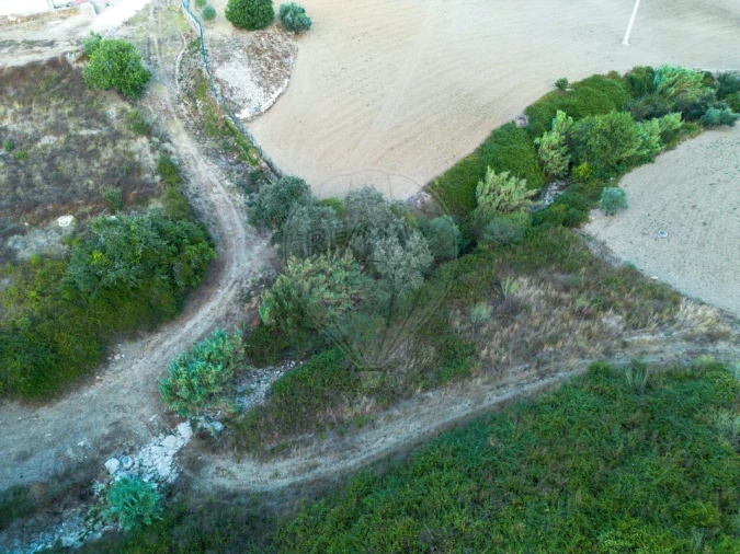 Terreno para Venda em Arranho Foto 3