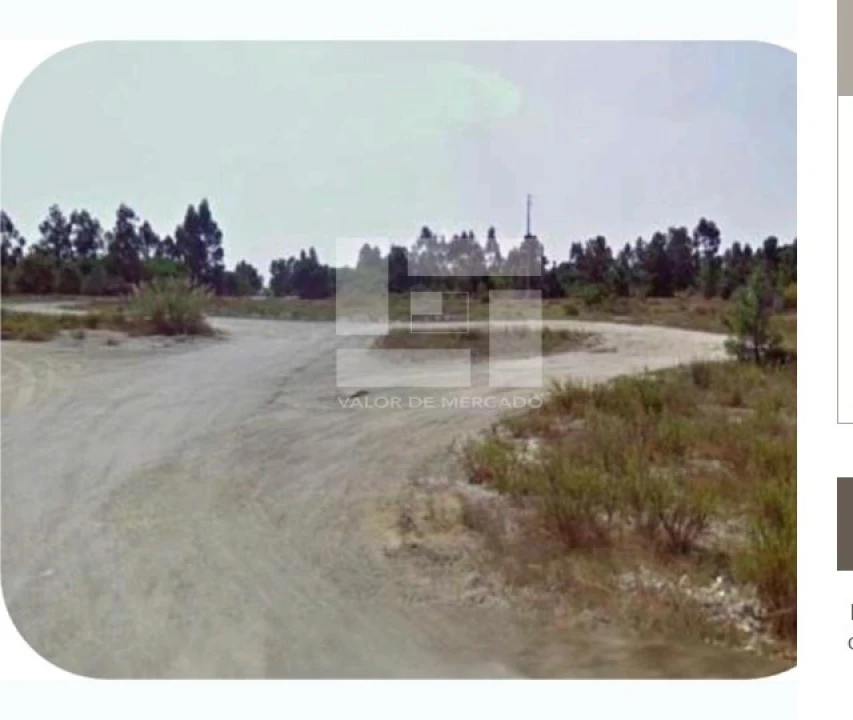 Terreno Agricola ou Rústico para Venda em Pegões Foto 1