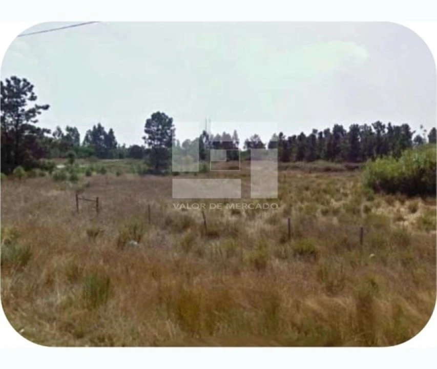 Terreno Agricola ou Rústico para Venda em Pegões Foto 4