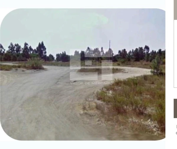 Terreno Agricola ou Rústico para Venda em Pegões