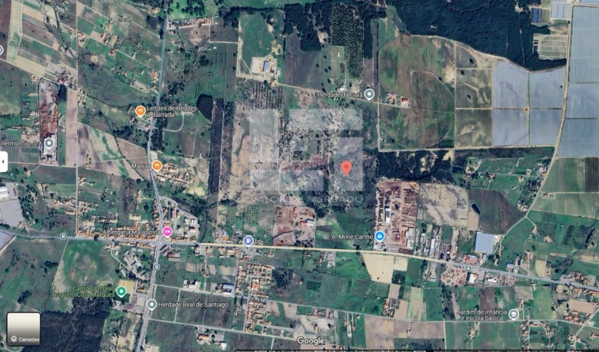 Terreno Agricola ou Rústico para Venda em Pegões Foto 3