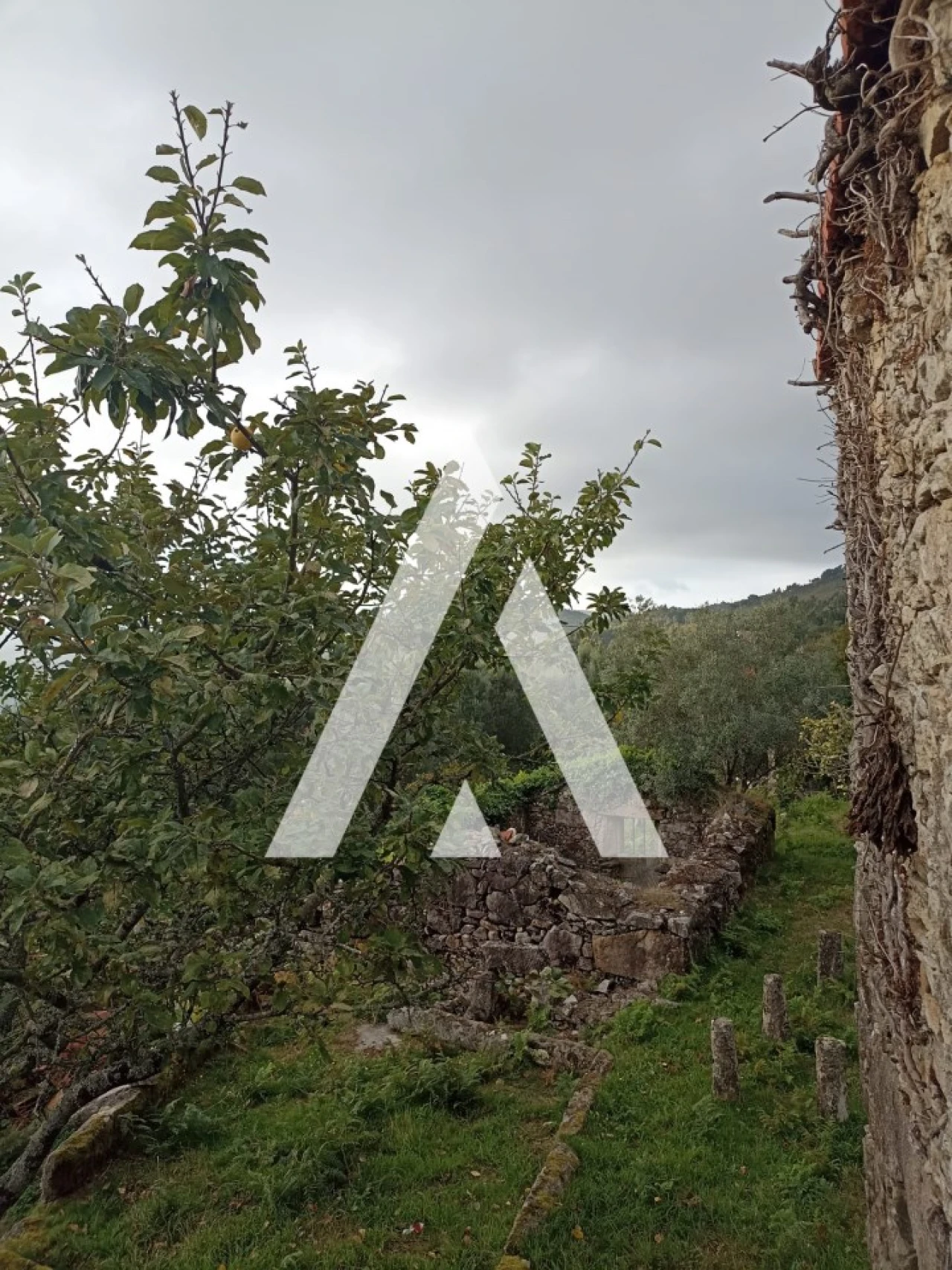 Terreno para Venda em Montaria Foto 9