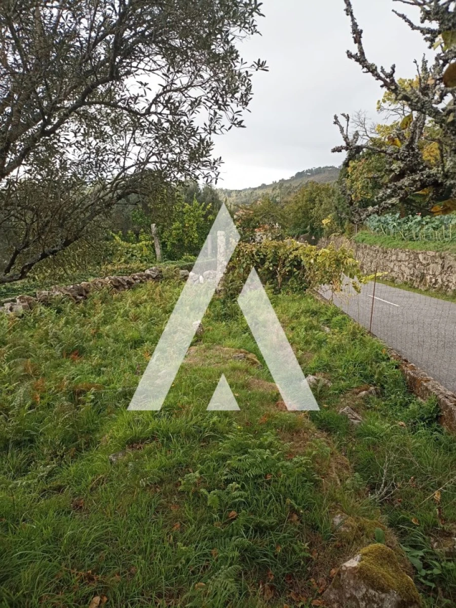 Terreno para Venda em Montaria Foto 8