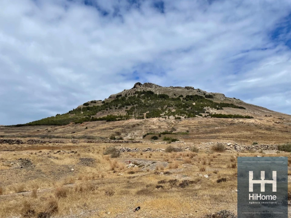 Terreno para Venda em Porto Santo Foto 6