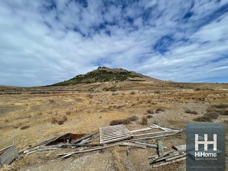 Terreno para Venda em Porto Santo Foto 12
