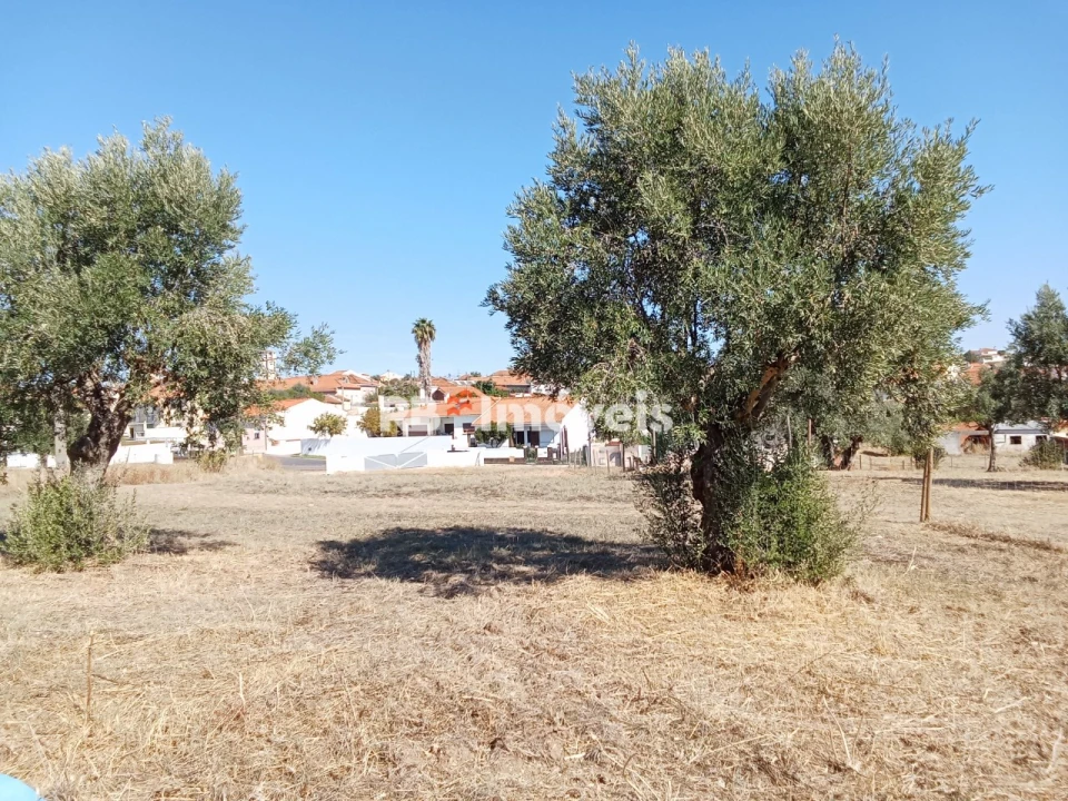Terreno para Venda em Meia Via Foto 5