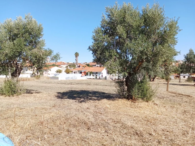 Terreno para Venda em Meia Via Foto 2