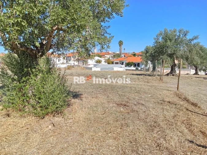 Terreno para Venda em Meia Via Foto 1