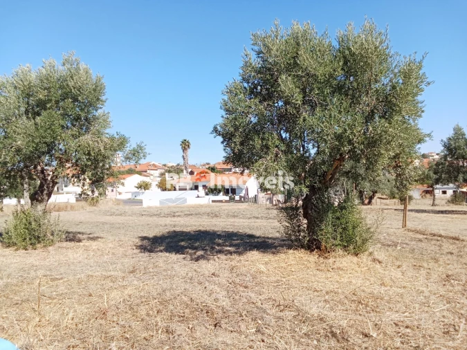 Terreno para Venda em Meia Via Foto 5