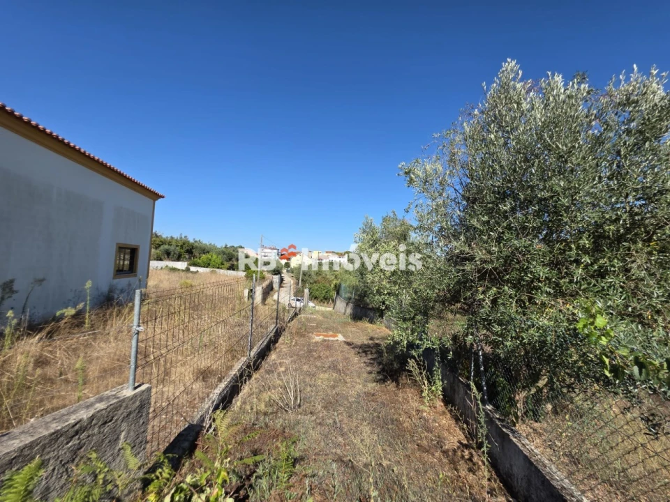 Terreno para Venda em Serra e Junceira Foto 5