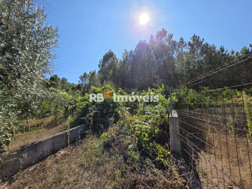 Terreno para Venda em Serra e Junceira Foto 10