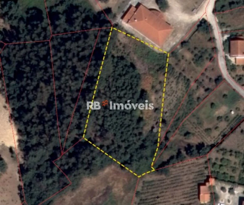 Terreno para Venda em Serra e Junceira Foto 1