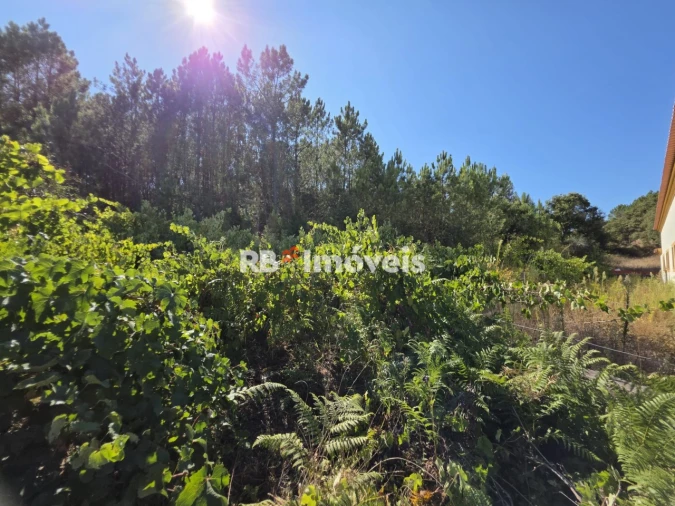 Terreno para Venda em Serra e Junceira Foto 7