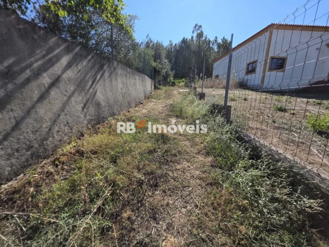 Terreno para Venda em Serra e Junceira Foto 10