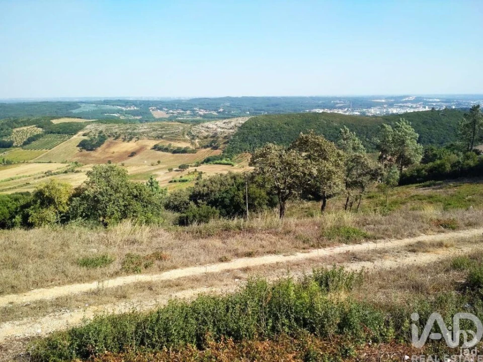 Terreno para Venda em Rio Maior Foto 4