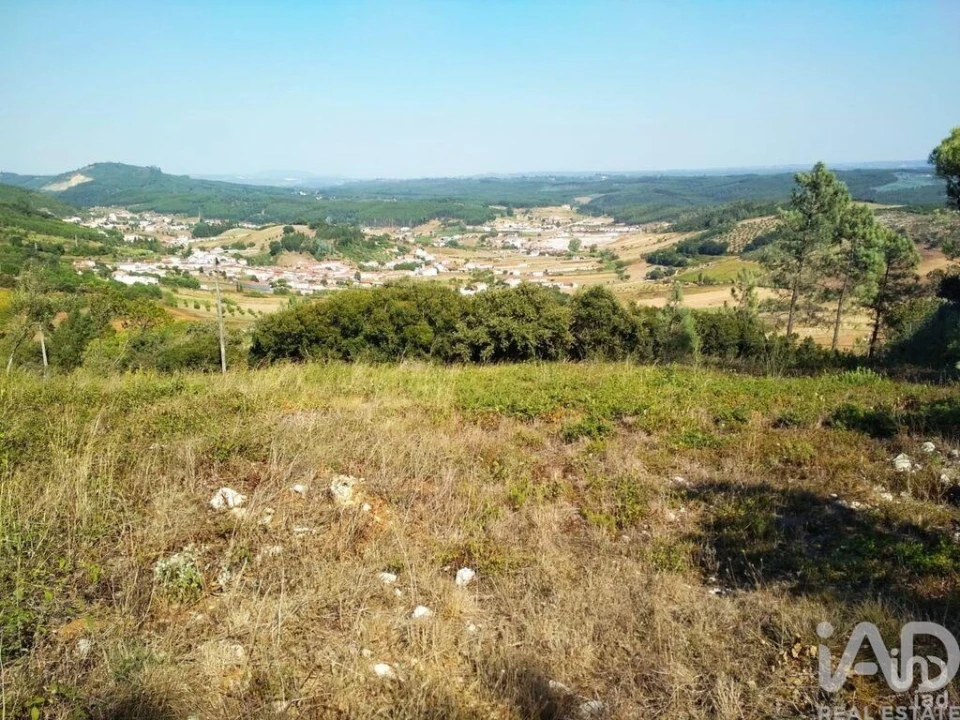 Terreno para Venda em Rio Maior Foto 3