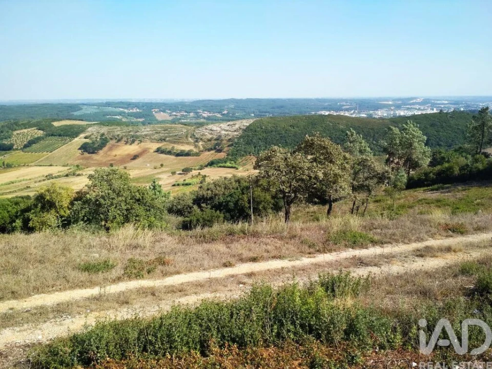Terreno para Venda em Rio Maior Foto 3