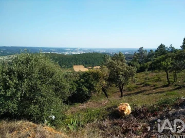 Terreno para Venda em Rio Maior