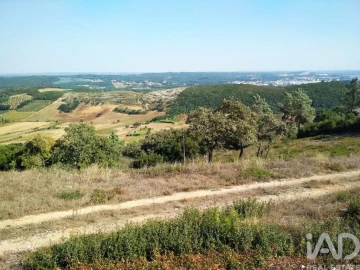 Terreno para Venda em Rio Maior