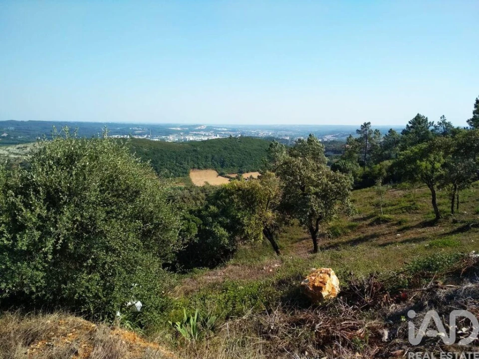 Terreno para Venda em Rio Maior Foto 5
