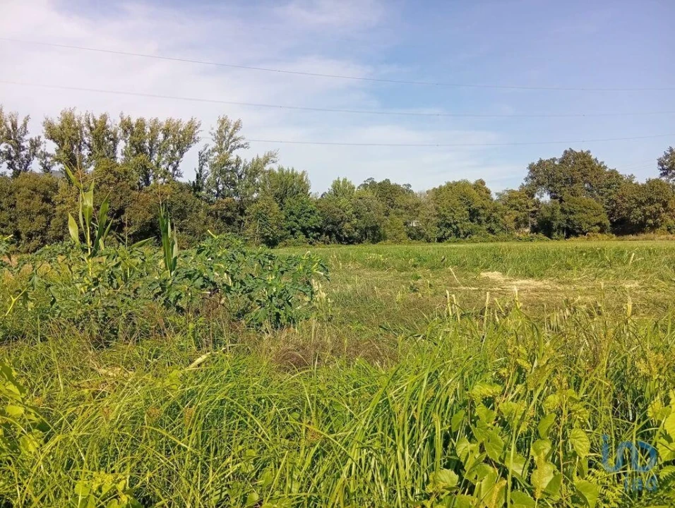 Terreno para Venda em Anais Foto 8