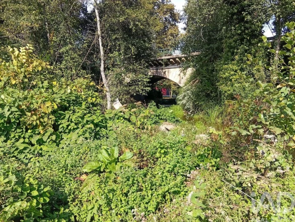 Terreno para Venda em Anais Foto 21