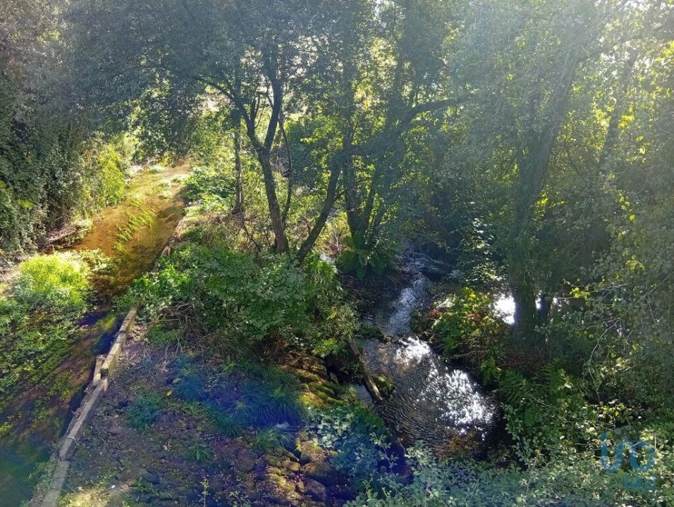 Terreno para Venda em Anais Foto 14