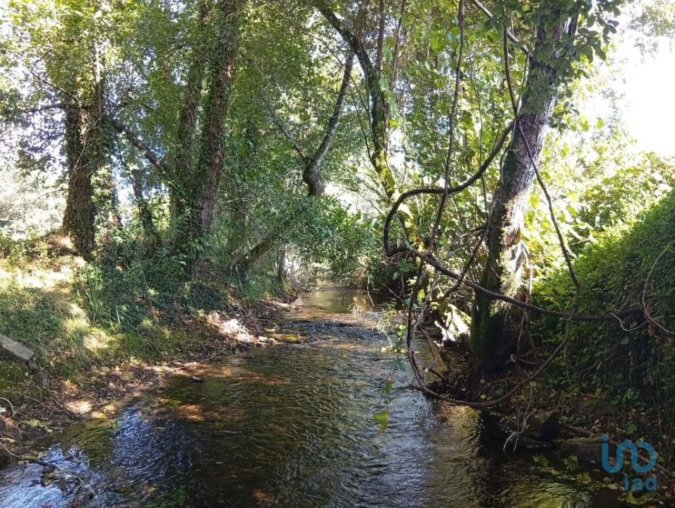 Terreno para Venda em Anais Foto 9