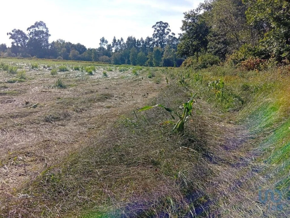 Terreno para Venda em Anais Foto 3